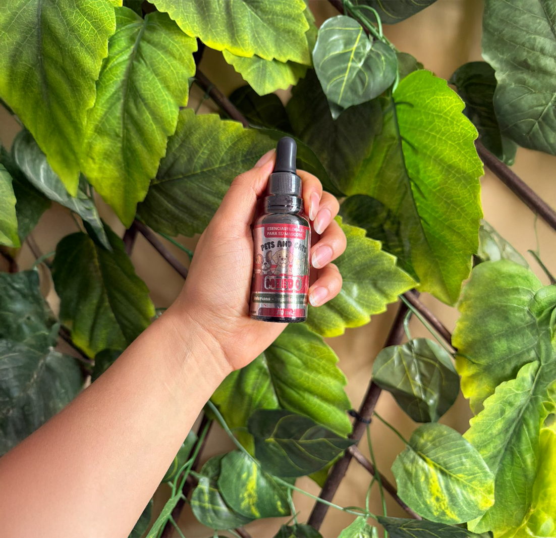 🎇🐶MiedosPet™ la calma natural para tu mascota en temporada de pólvora🎄🎇